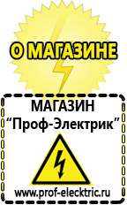 Магазин электрооборудования Проф-Электрик Инвертор+автомобильный акб в Елабуге